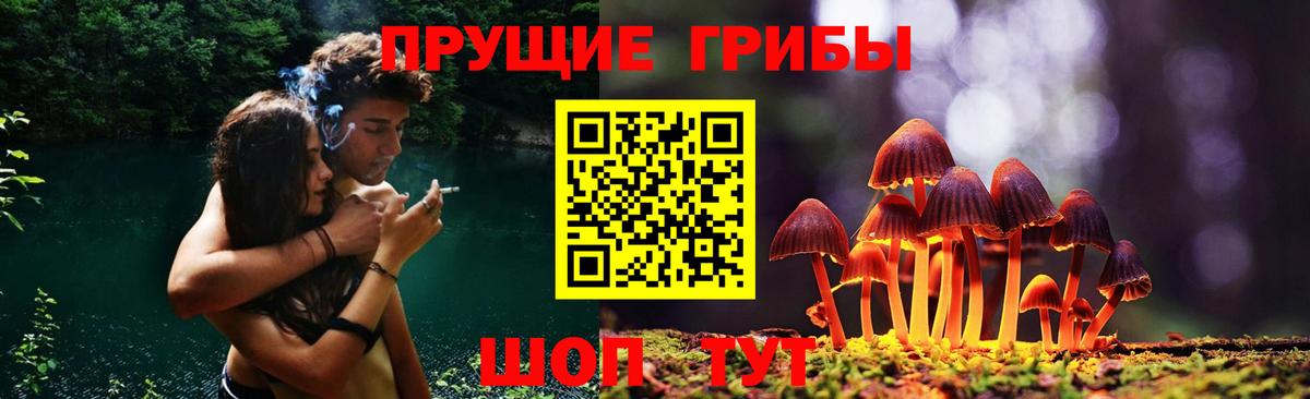 Галлюциногенные грибы Cubensis  Вход с VPN  Черкесск 